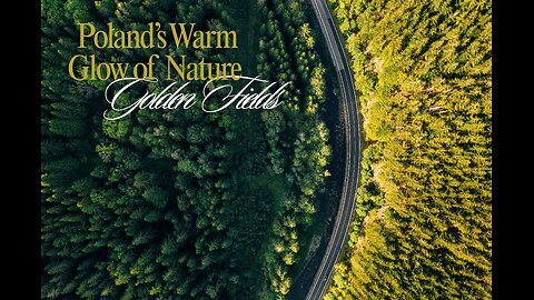 Golden Fields: Poland’s Warm Glow of Nature