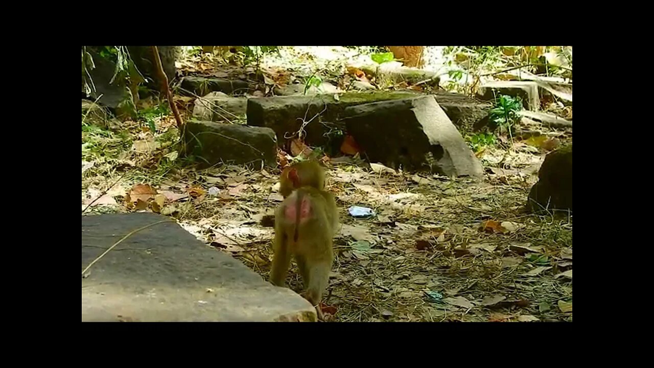 Ricky Tries To Leave From Other Do This