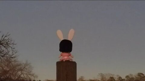 A fumo observes the moon.
