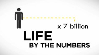Life by the Numbers