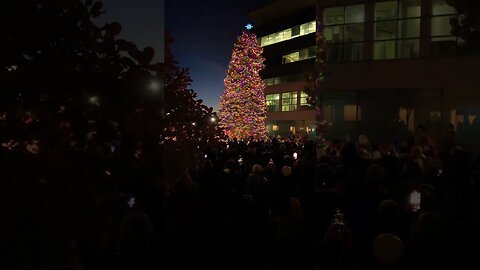 We wish you a merry Christmas! 🎄#christmas #tree #lighting #niagarafalls