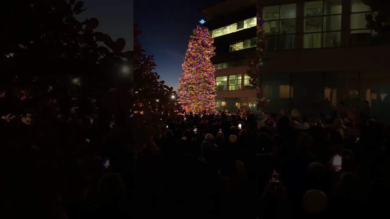 We wish you a merry Christmas! 🎄#christmas #tree #lighting #niagarafalls