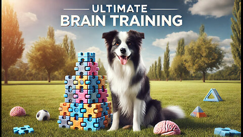 Brain Training for Dogs: The Ultimate Guide