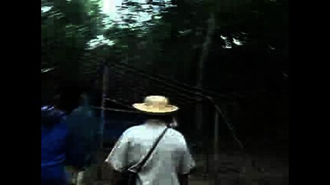 Amazon 2007