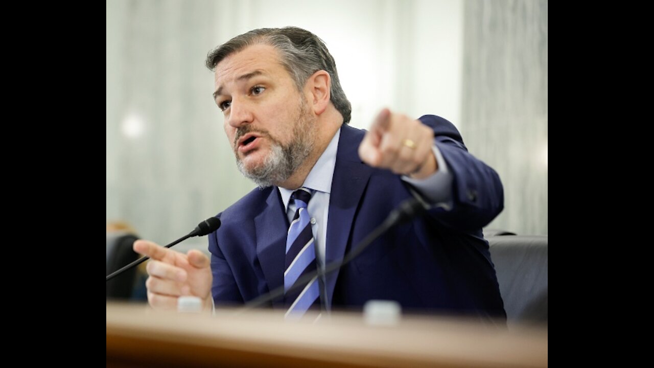 Ted Cruz Renews Call to Secure Border After 'Potential Terrorist' Apprehended