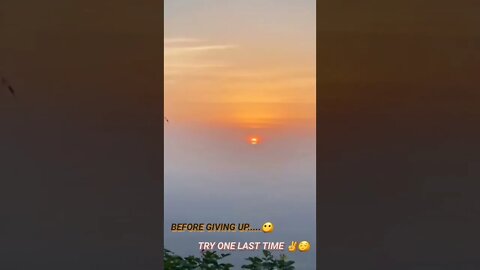 MORNING 🌻| 💖👻 | #HEART #LOVE #viral #spread #whatsappstatus