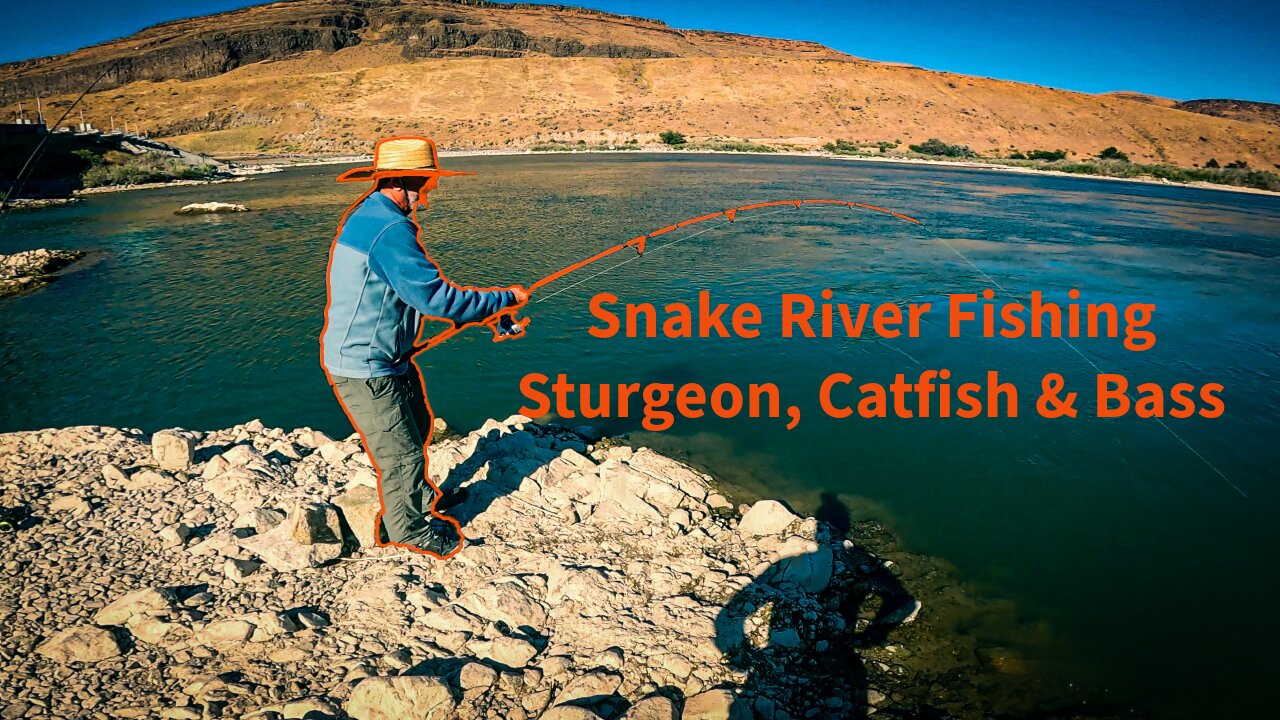 Snake River Fishing Sturgeon, Catfish and Bass on Fathers Day