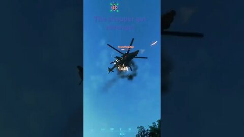 I kill bird, bird kill me