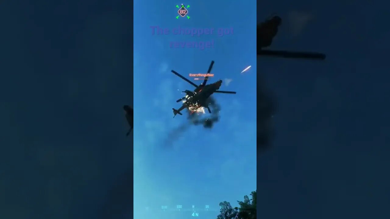 I kill bird, bird kill me