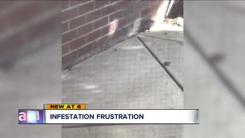 Senior apartment in Cleveland taken over by maggots, mice and rats