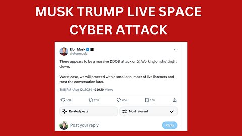 Musk and Trump spaces down due to massive cyber attack