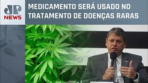Tarcísio dá aval a remédios à base de canabidiol no SUS