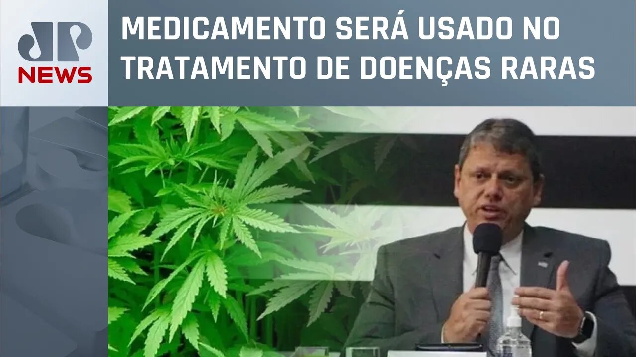 Tarcísio dá aval a remédios à base de canabidiol no SUS