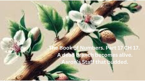 The Book of Numbers. Part 17 CH 17. Aaron’s Staff that budded and produced almonds.