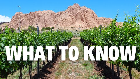 Why Wine Critics LOVE This New Mexico Winery