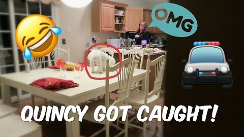 QUINCY GOT CAUGHT!