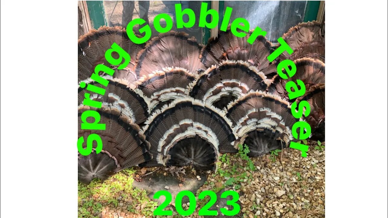 Highlights of our 2023 turkey season (best season yet)
