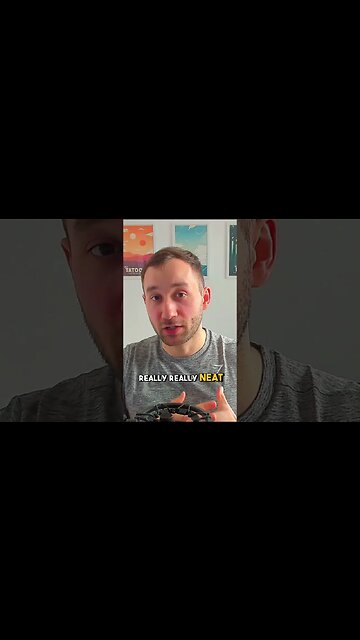 3 FREE T-Shirt FONTS