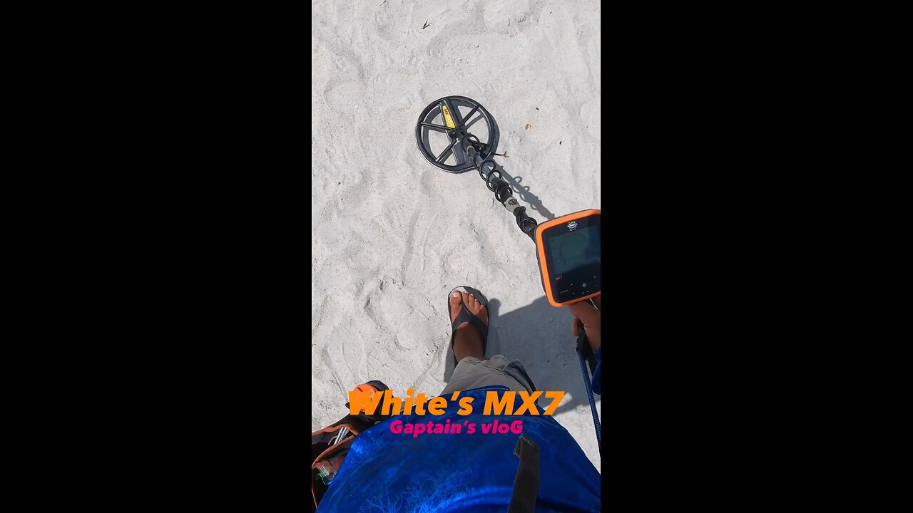 Science! Beach Metal Detecting