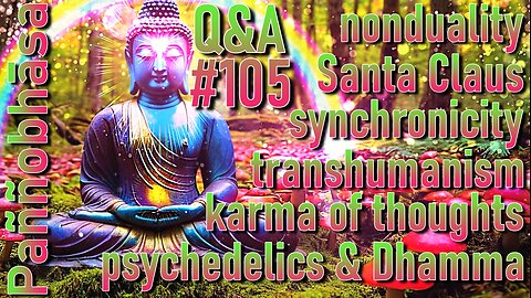 Question & Answer #105: from False Buddhas to Psychedelic Dharma