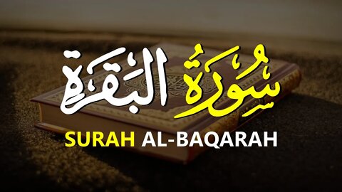 SURAH AL-BAQARAH FULL - Surat Al-Baqarah Membuat Hati Tentram - Bacaan Quran Merdu