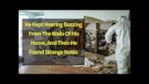 He Kept Hearing Buzzing From The Walls Of His Home, And Then He Found Strange Notes