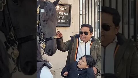 The Horse is behind you #horseguardsparade