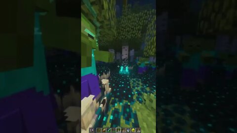 Best Minecraft Builds That Scare The Warden