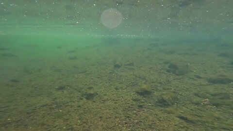 Episode #63- Fish Pond Update #flyfishing #kayakfishing #Bullshoalswhiteriverstatepark