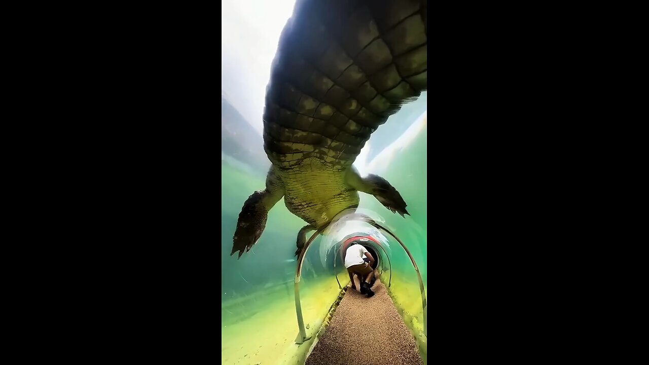 😱😳