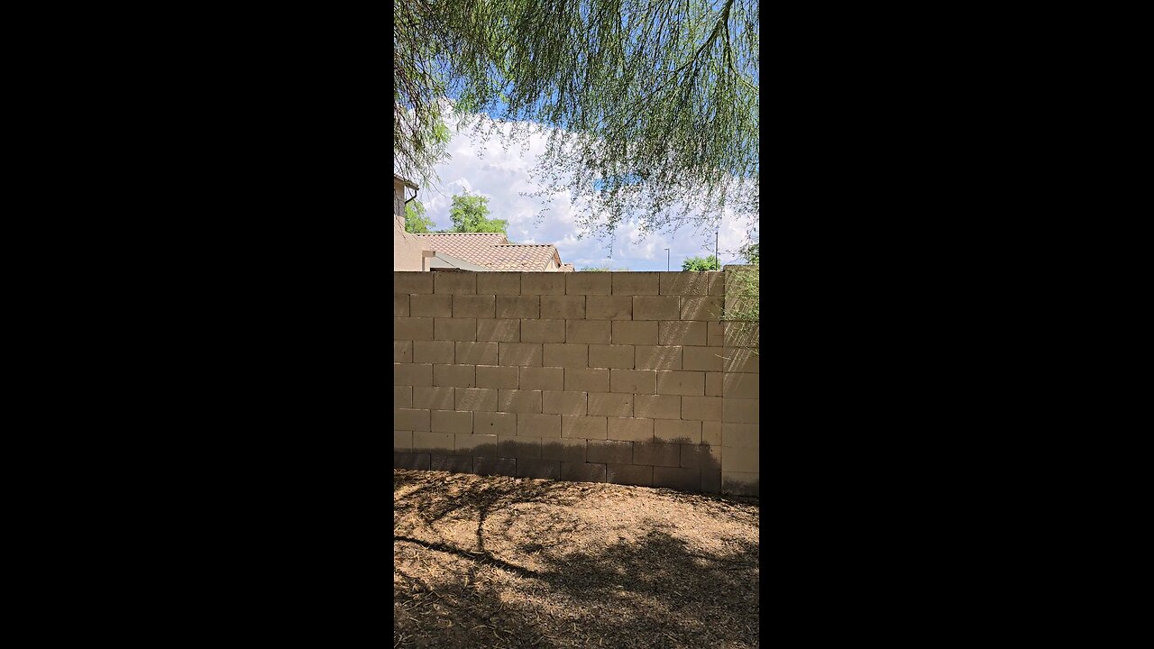 Time for the Chainsaw