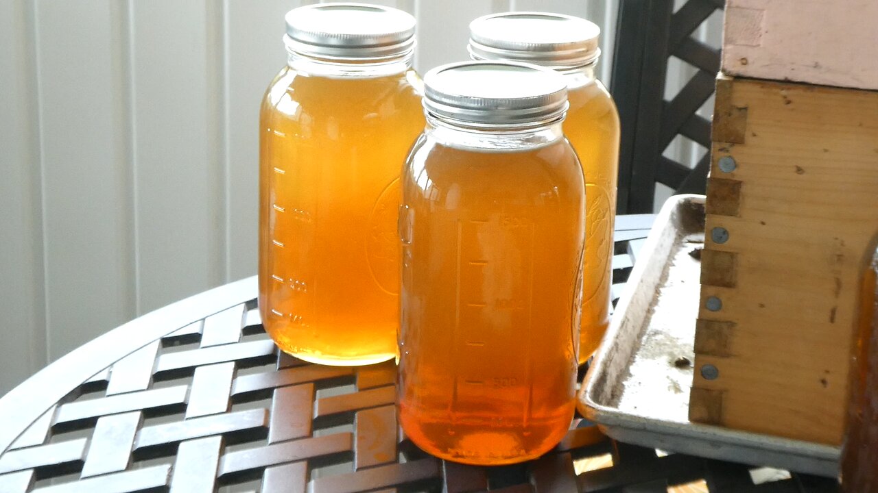 HONEY UPDATE (MAY 2024)