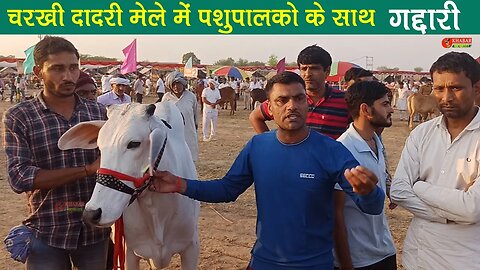 चरखी दादरी मेले में पशुपालको के साथ गद्दारी | Charkhi Dadri Pashu Mela Viral Video | Khabar Khakhata