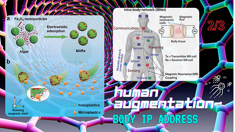 Human Augmentation ~ Body IP Address 2/3