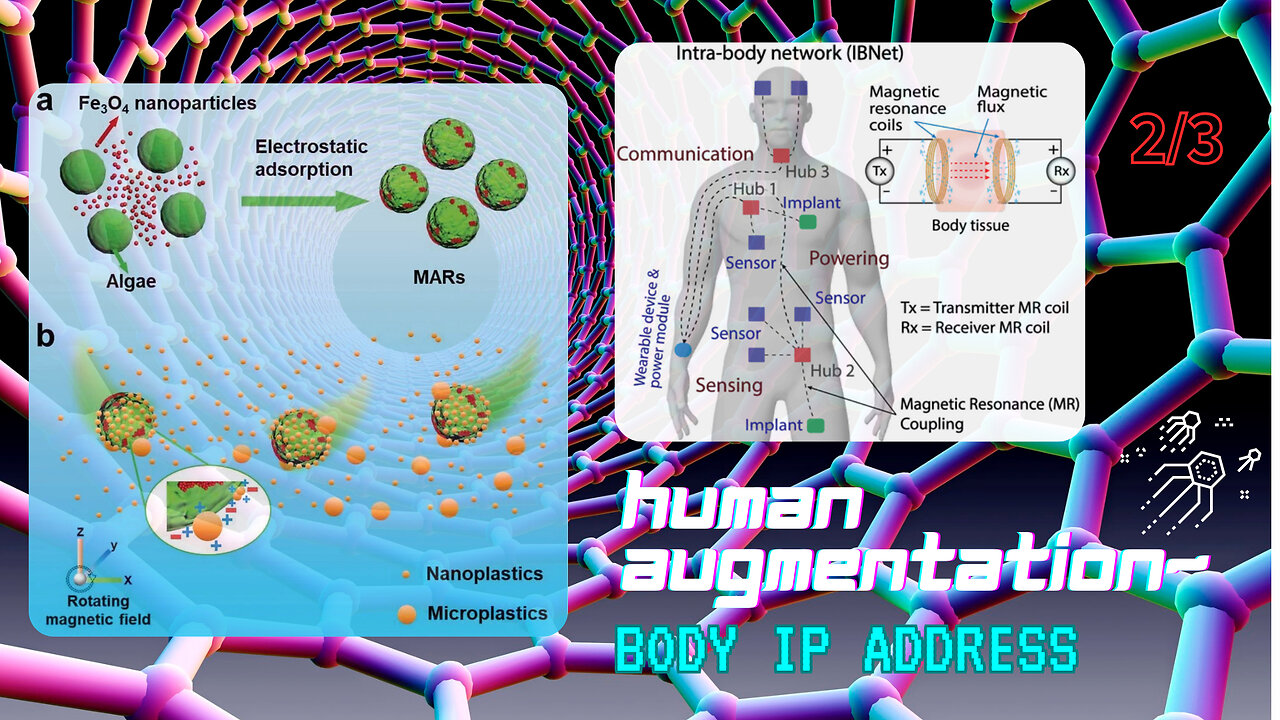 Human Augmentation ~ Body IP Address 2/3