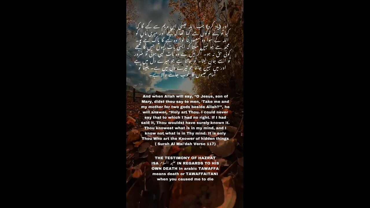 Surah Al-Ma'idah - Testimony of Jesus #allah #islam #quran #tilawat #viral