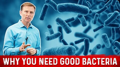 Friendly Bacteria: Why You Really Need And how it Helps – Dr. Berg