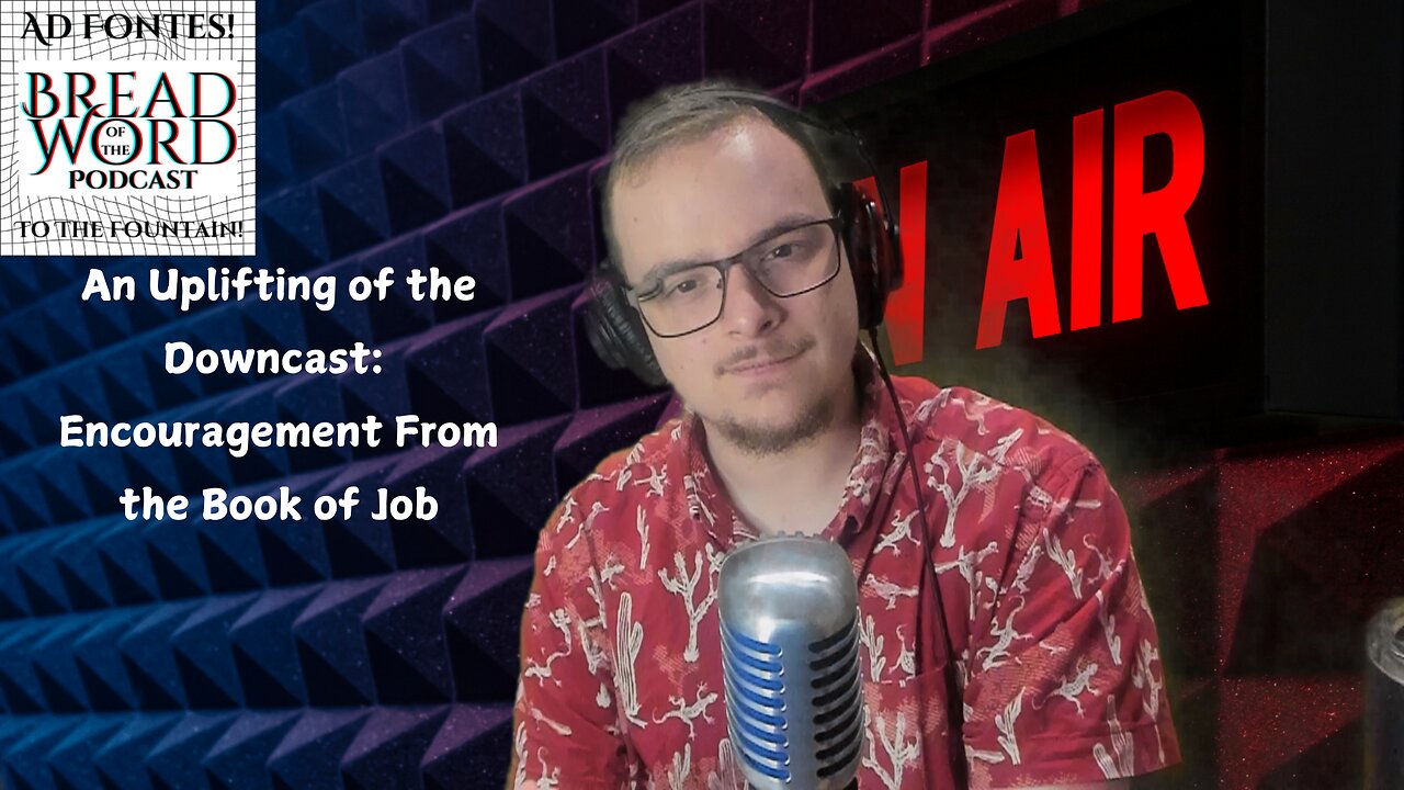 An Uplifting of the Downcast from the Book of Job