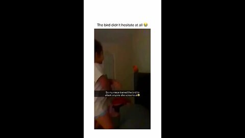 The Bird Was Trained To Go (TTG) Time!!! #funny #funnyshorts #funnyvideo #viralvideo #viralshorts