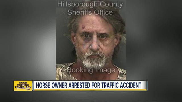 Owner arrested on animal cruelty charges after horse hit, killed by car