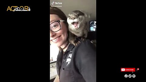 More Cute Animals for When You are Stressed