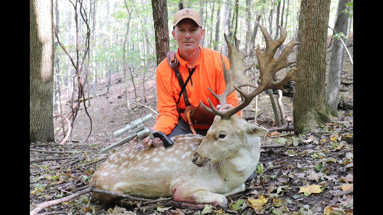 HANDGUN HUNTING - Handgun Hunting Fallow Deer With Freedom Arms M654