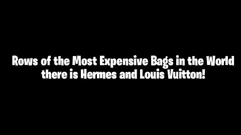 Rows of the Most Expensive Bags in the World there is Hermes and Louis Vuitton!
