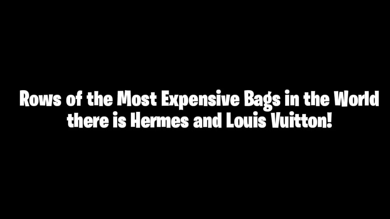 Rows of the Most Expensive Bags in the World there is Hermes and Louis Vuitton!