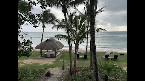 In Paradise Fiji Islands 🇫🇯 Resort Vacation