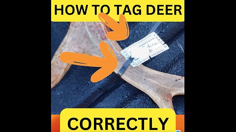 HOW TO TAG DEER PROPERLY