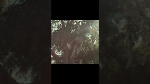From The Seen To The Unseen