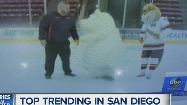 Polar bear mascot slips and falls... over and over again!