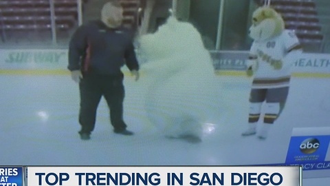 Polar bear mascot slips and falls... over and over again!