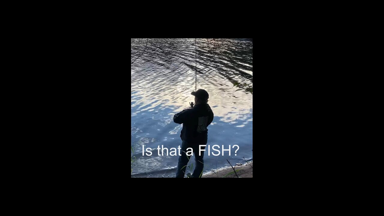 Weeds or Bass? #Jesus #Googansquad